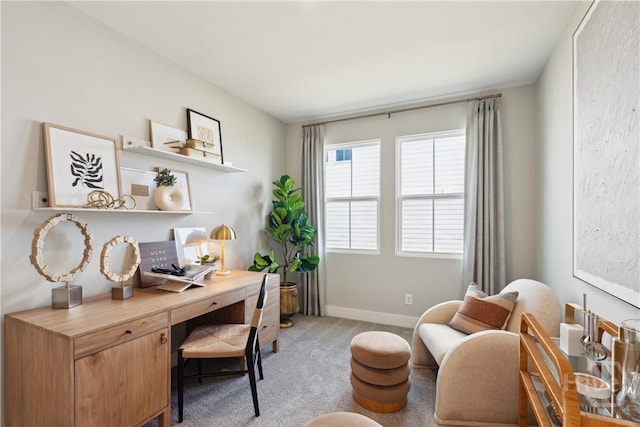 117 Mage St, Savannah, GA 31302 - office space featuring light carpet and baseboards