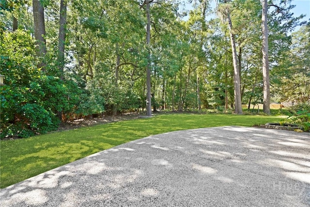202 Grimball Point Rd, Savannah, GA 31406 - photo 45