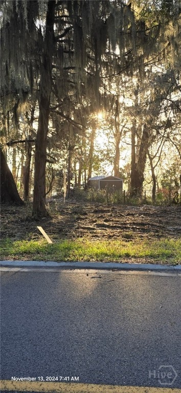 LOT1 Youmans Rd, Midway, GA 31320