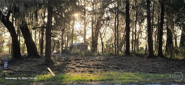 LOT1 Youmans Rd, Midway, GA 31320