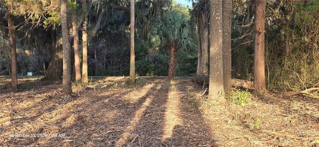 LOT1 Youmans Rd, Midway, GA 31320