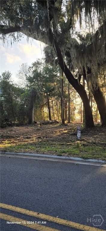 LOT1 Youmans Rd, Midway, GA 31320