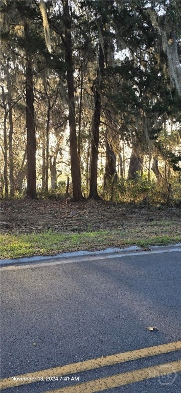 LOT1 Youmans Rd, Midway, GA 31320