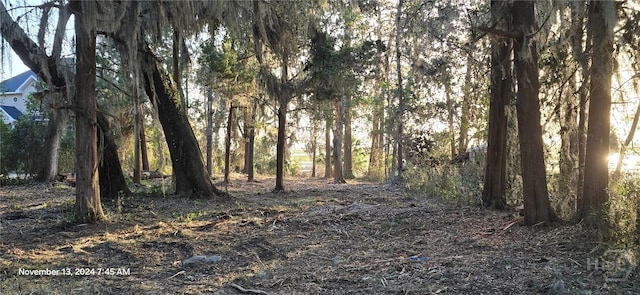 LOT1 Youmans Rd, Midway, GA 31320