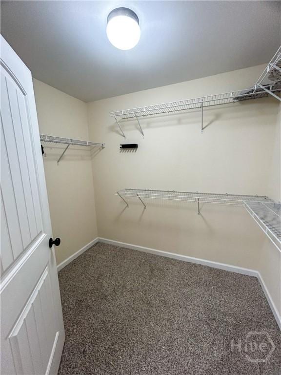 102 Black Pine Dr, Springfield, GA 31329 - photo 9