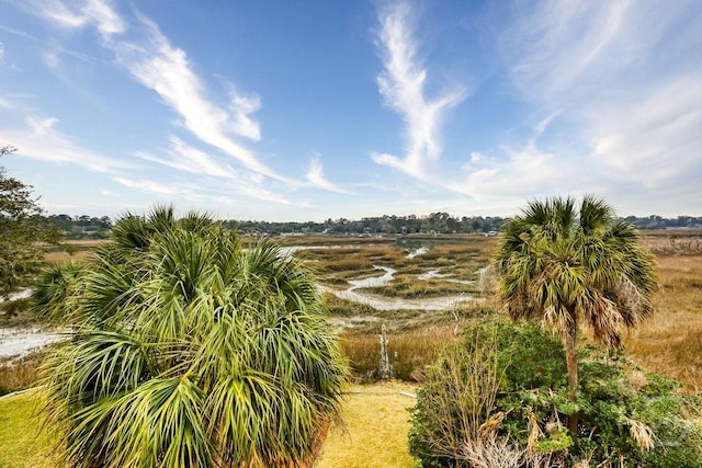 6 Egrets Nest Dr, Savannah, GA 31406 - photo 3