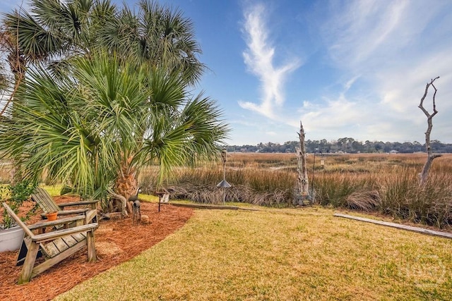 6 Egrets Nest Dr, Savannah, GA 31406 - photo 45
