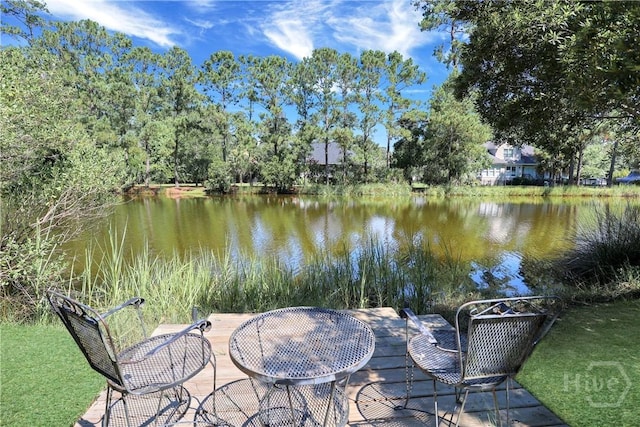 50 Mulberry Bluff Dr, Savannah, GA 31406 - photo 42