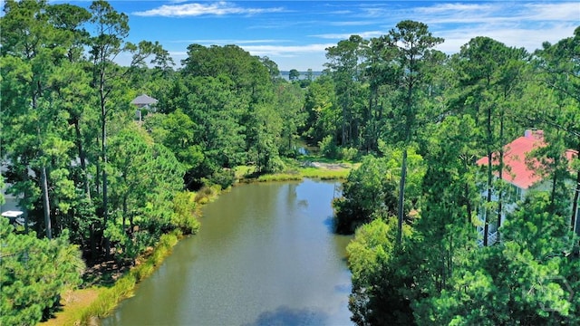 50 Mulberry Bluff Dr, Savannah, GA 31406 - photo 43