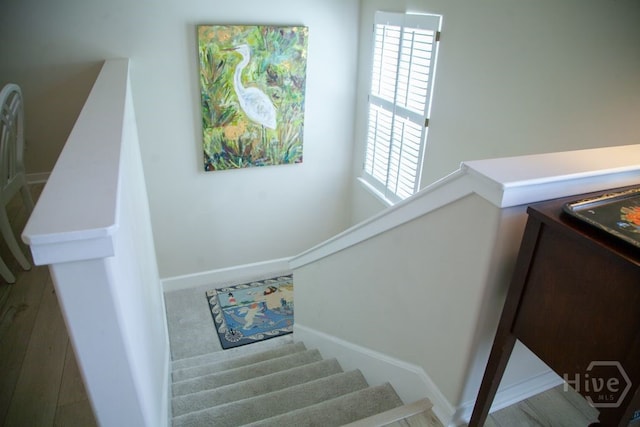 14 12th Ter, Tybee Island, GA 31328 - photo 12