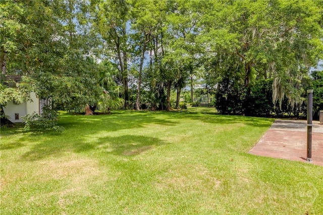322 Suncrest Blvd, Savannah, GA 31410 - view of green lawn featuring view of wooded area