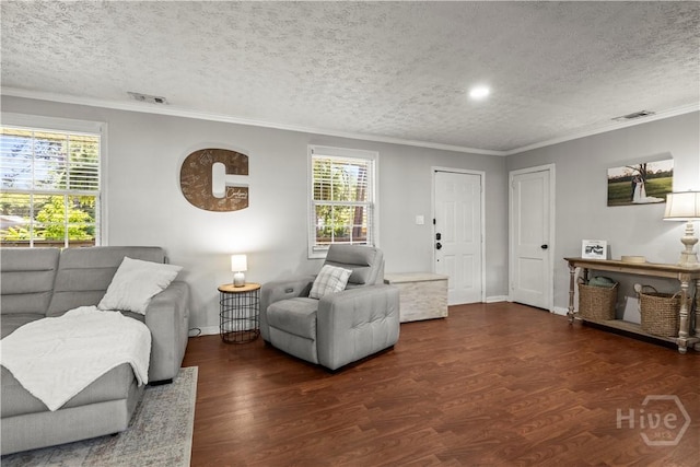 1001 Debbie St, Savannah, GA 31410 - living area with wood finished floors, a textured ceiling, and crown molding