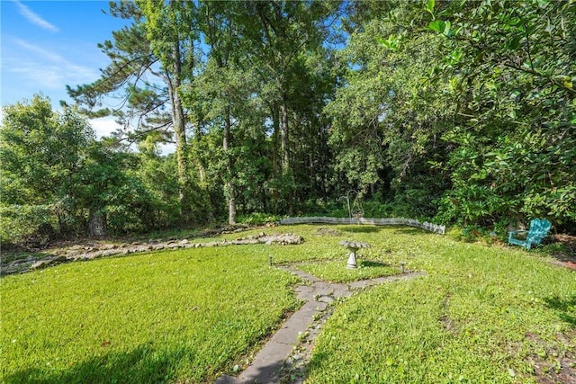 11 Gilliam Ave, Savannah, GA 31406 - view of green lawn