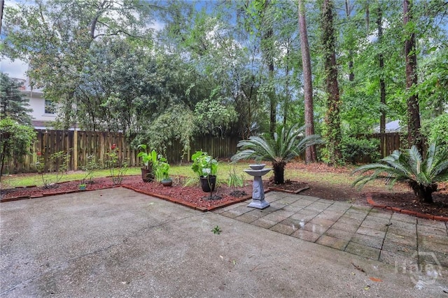 123 Companion Way, Savannah, GA 31419 - fenced backyard featuring a patio area