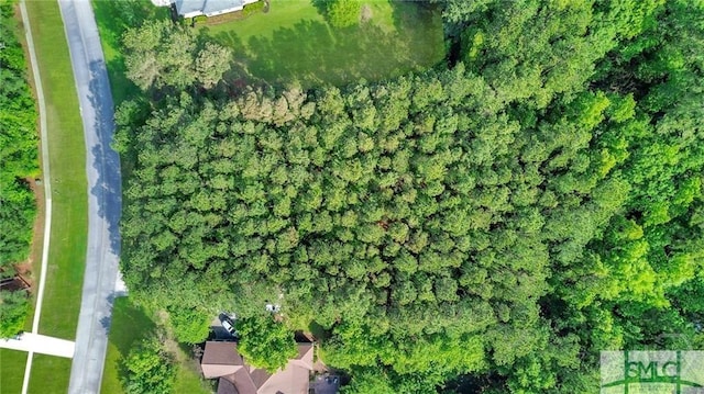 LOT7 Saint Catherine Cir, Richmond Hill, GA 31324