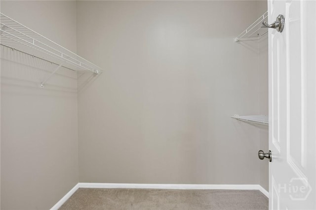 40 Putters Pl, Savannah, GA 31419 - photo 19