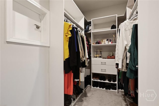 742 Longleaf Dr, Richmond Hill, GA 31324 - spacious closet with carpet floors