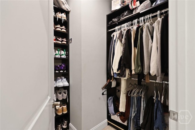 742 Longleaf Dr, Richmond Hill, GA 31324 - view of spacious closet
