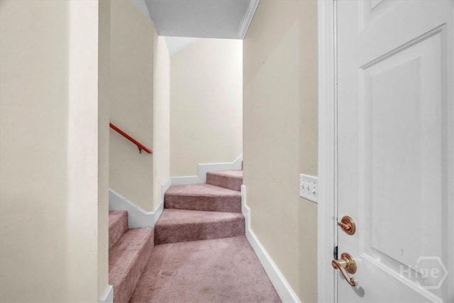 80 Windsong Dr, Richmond Hill, GA 31324 - stairs with carpet floors and baseboards