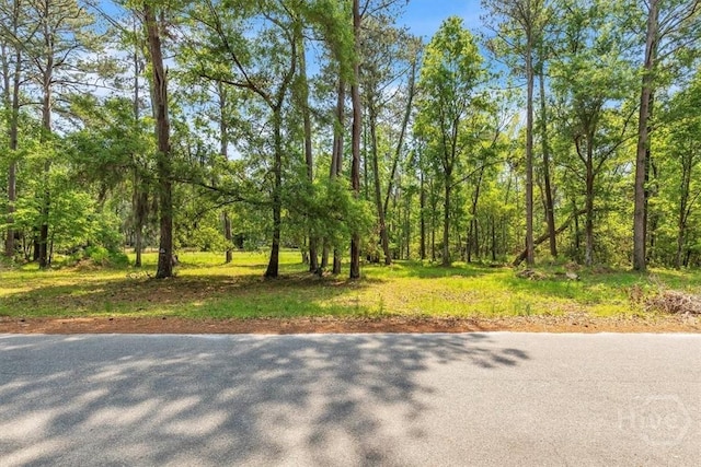 0 Css Nashville Ln, Richmond Hill, GA 31324 - photo 4