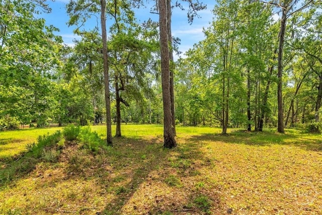 0 Css Nashville Ln, Richmond Hill, GA 31324 - photo 6