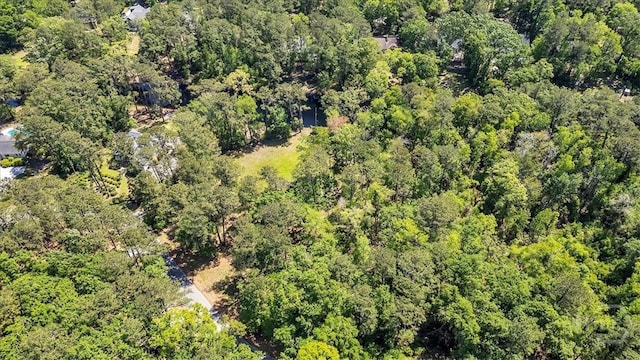 0 Css Nashville Ln, Richmond Hill, GA 31324 - photo 7