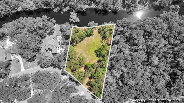 0 Css Nashville Ln, Richmond Hill, GA 31324 - photo 3