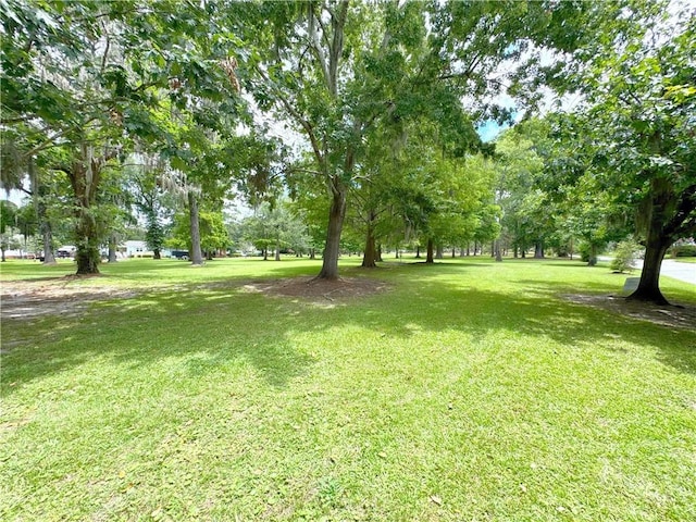 147 Pine Valley Rd, Savannah, GA 31404 - photo 43