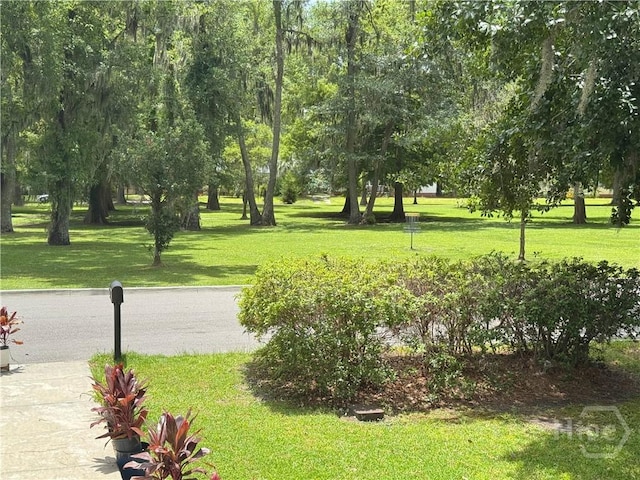 147 Pine Valley Rd, Savannah, GA 31404 - photo 3