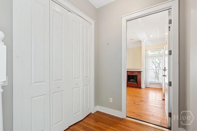 220 E 33rd St Unit A, Savannah, GA 31401 - photo 3