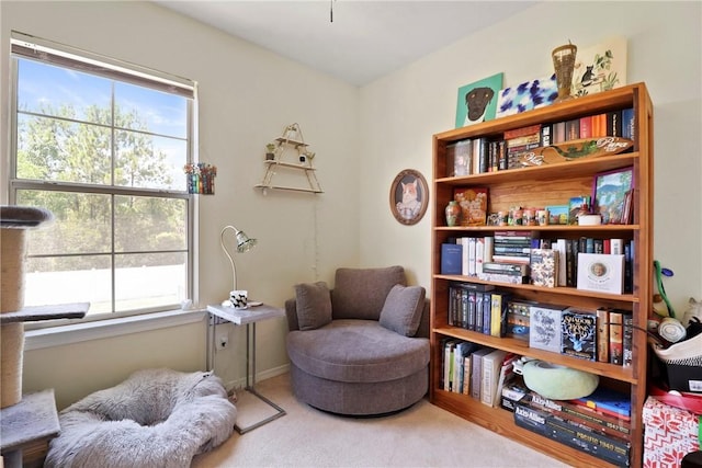 23 Fairgreen St, Savannah, GA 31407 - photo 30
