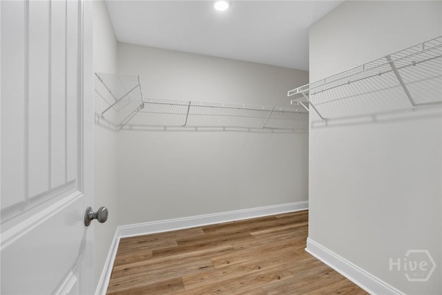 13 Abaco Ct, Savannah, GA 31419 - walk in closet with light wood finished floors
