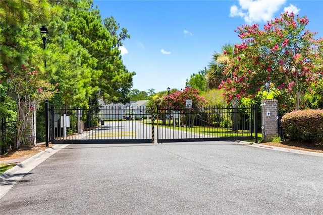 13 Abaco Ct, Savannah, GA 31419 - view of gate