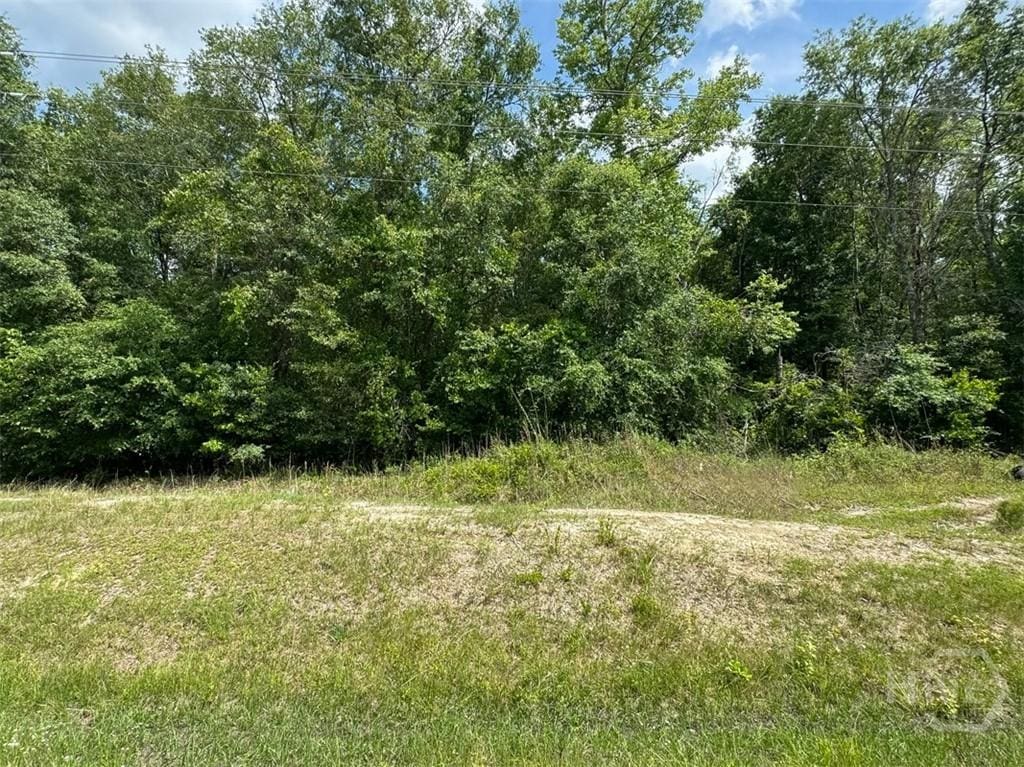 0 Reedsville Rd, Clyo, GA 31303