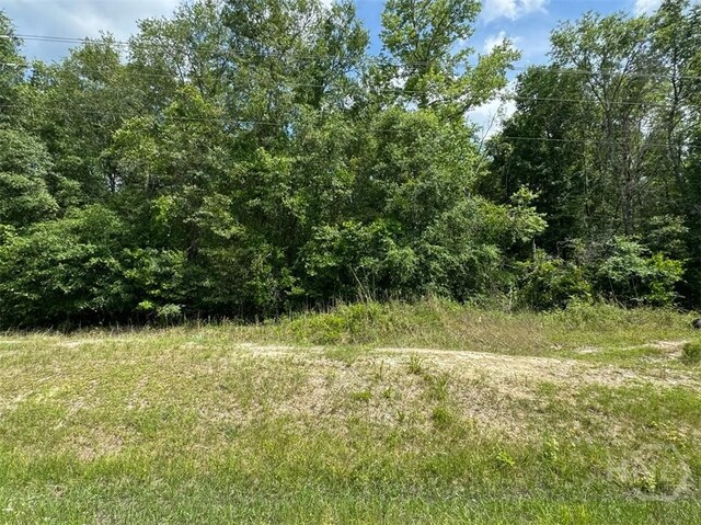 0 Reedsville Rd, Clyo, GA 31303