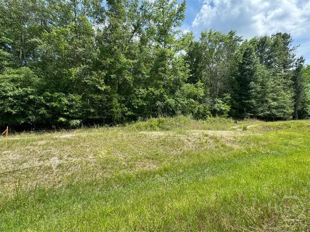 0 Reedsville Rd, Clyo, GA 31303