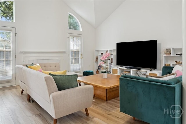 4 Jackson Ct, Savannah, GA 31405 - living area with high vaulted ceiling and light wood finished floors