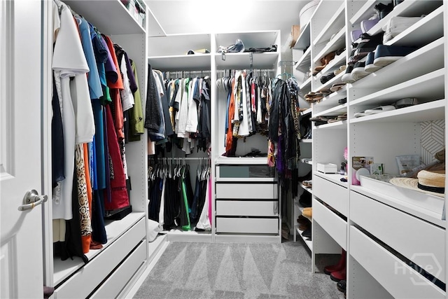 11 Shoefstall St, Savannah, GA 31407 - walk in closet featuring carpet floors