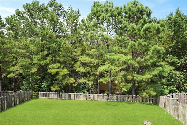 30 Melody Dr, Pooler, GA 31322 - view of fenced backyard
