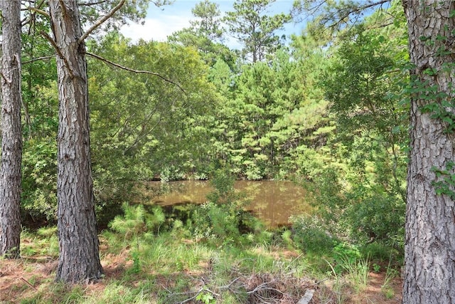30 Melody Dr, Pooler, GA 31322 - view of tree filled area
