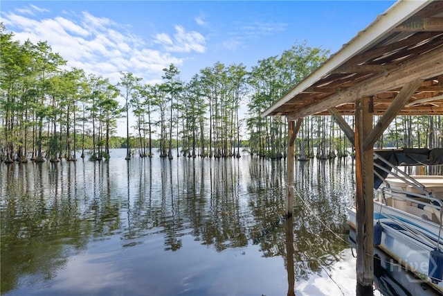 129 Cypress Lake Dr, Statesboro, GA 30458 - photo 23