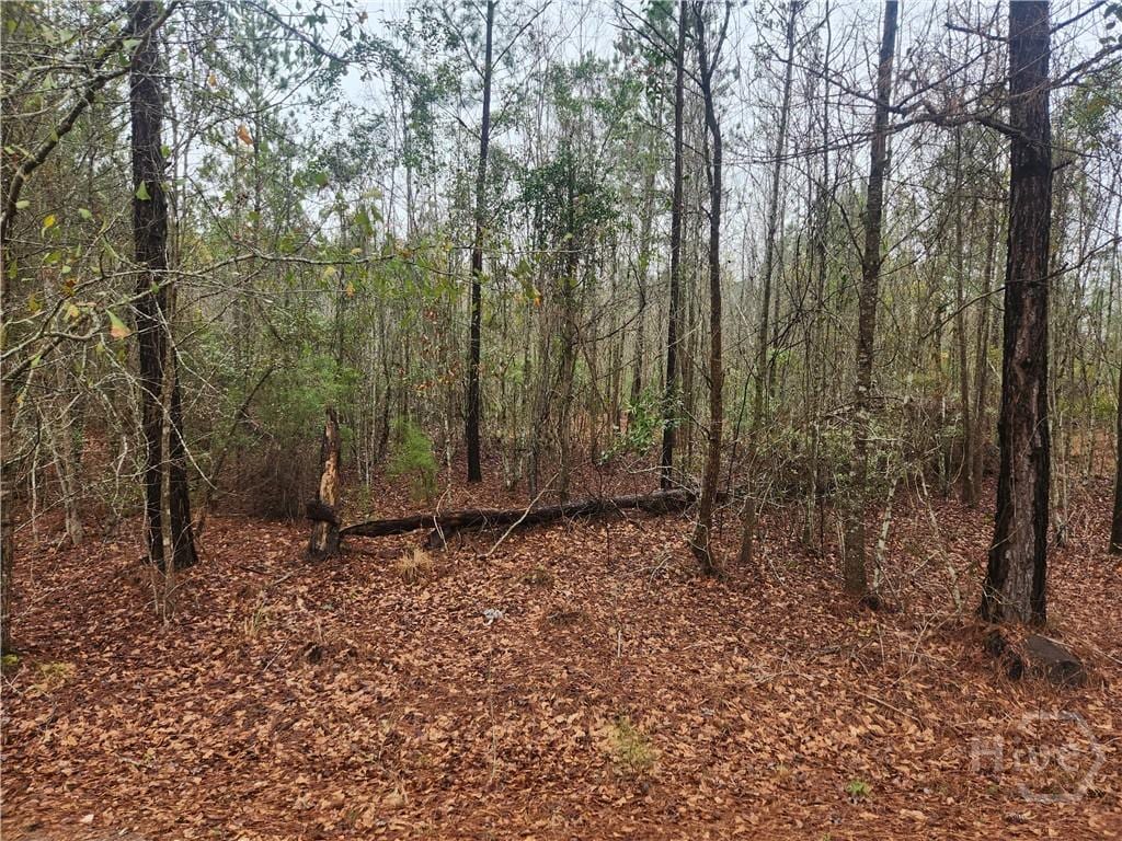 351 S Poplar St, Pembroke, GA 31321