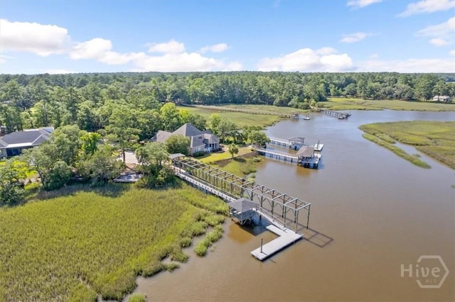 187 Harbour Ln, Richmond Hill, GA 31324 - photo 43