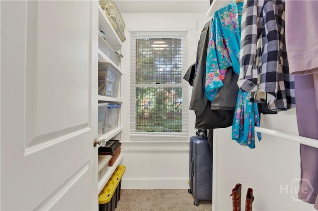 1507 E 49th St, Savannah, GA 31404 - spacious closet with carpet floors