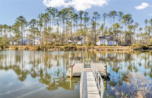85 Calhoun Ln, Richmond Hill, GA 31324 - photo 42