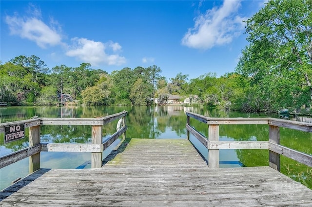 27 Bryan Wood Cir, Savannah, GA 31410 - dock area featuring a water view