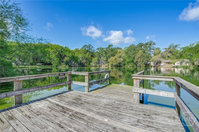 27 Bryan Wood Cir, Savannah, GA 31410 - dock area featuring a water view