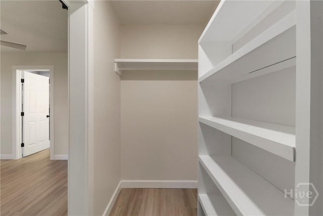114 Paradise Dr, Savannah, GA 31406 - spacious closet with wood finished floors