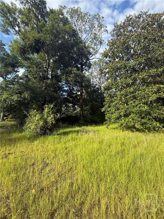 188 John Carter Rd, Bloomingdale, GA 31302