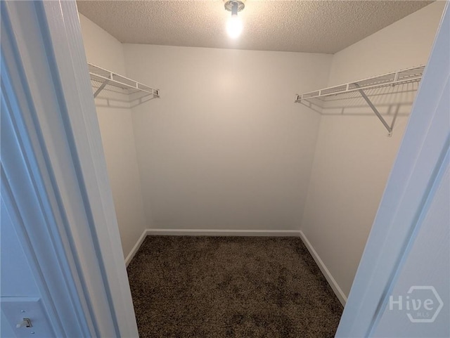 47 Rose Hill Dr, Savannah, GA 31419 - walk in closet with carpet floors